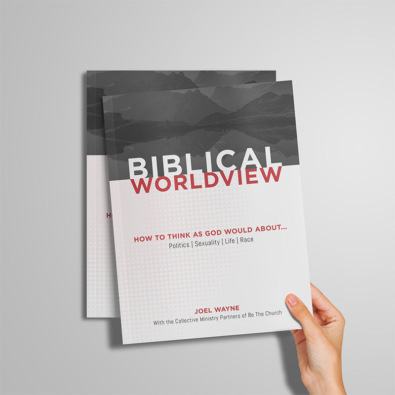 Biblical Worldview Booklet (Digital Download)